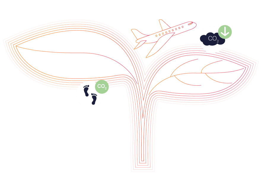 A featured image for this section