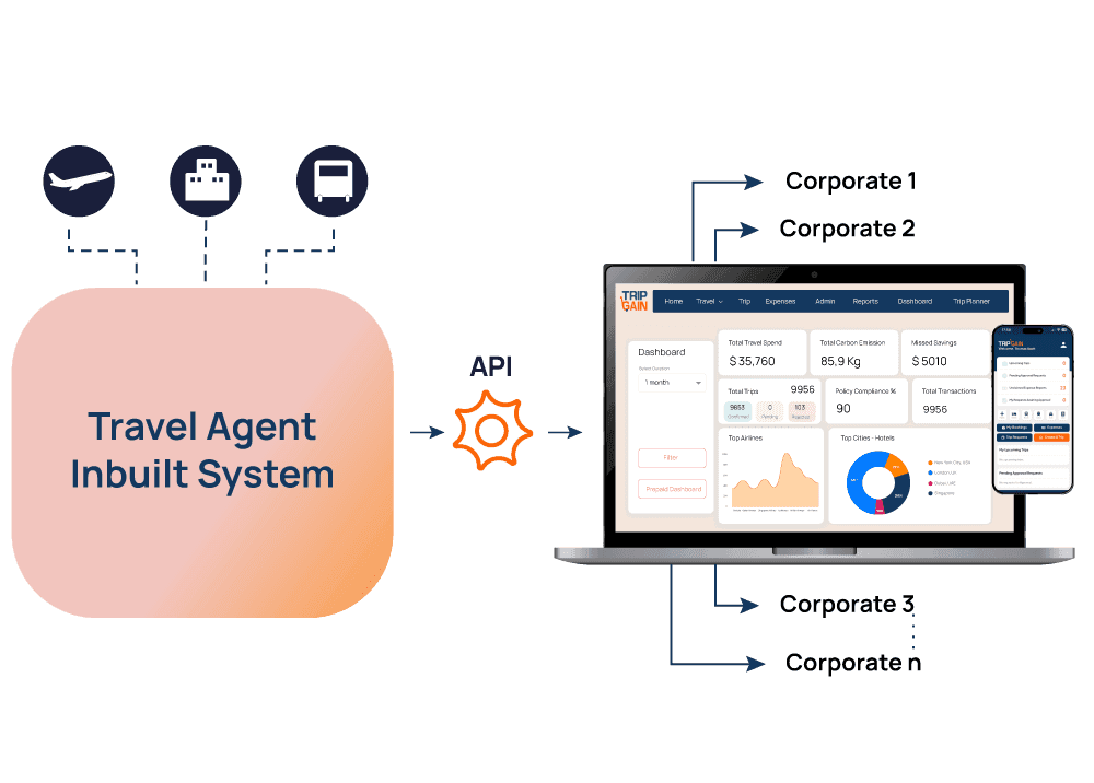 A featured image for this section