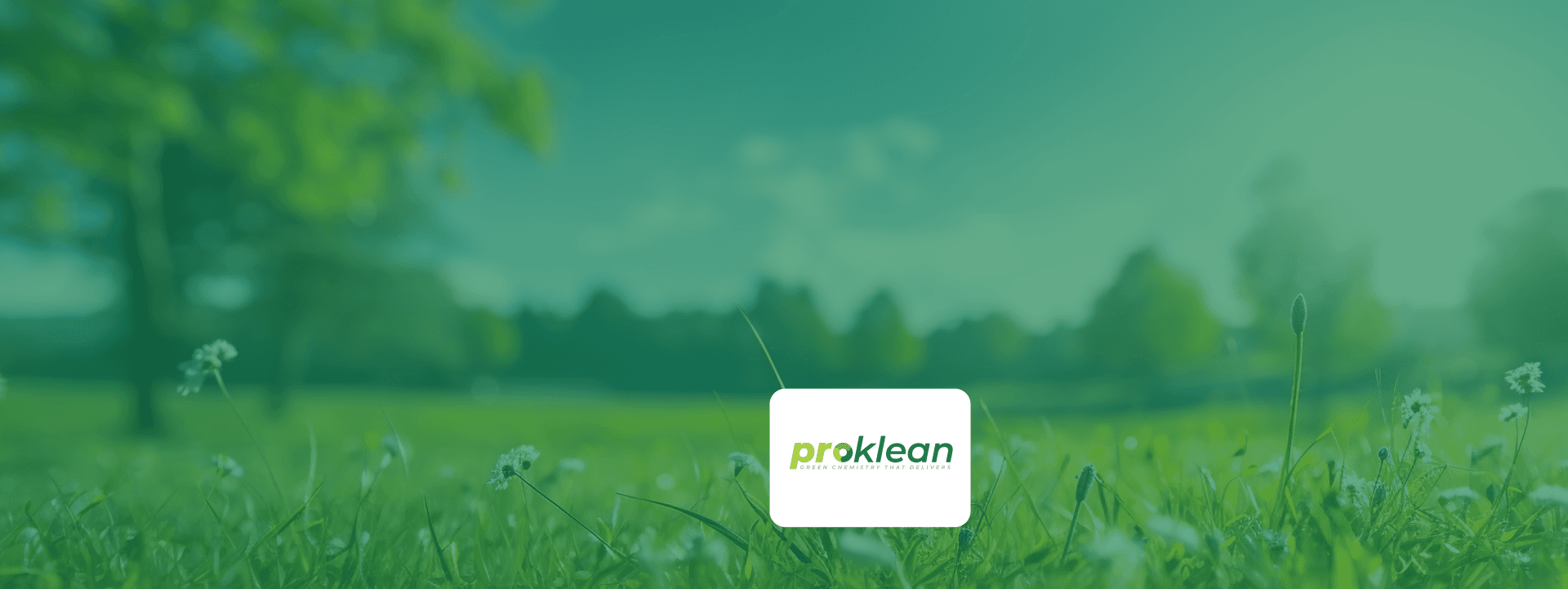 A featured image for this section